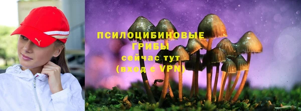 соль ск Верея
