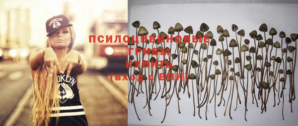 соль ск Верея