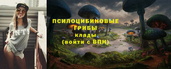 соль ск Верея