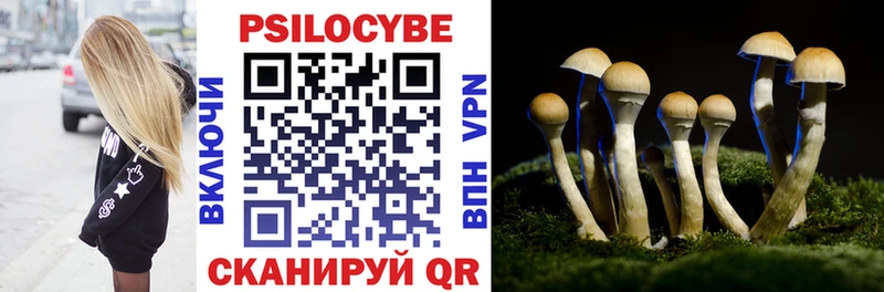 Псилоцибиновые грибы MAGIC MUSHROOMS  как найти закладки  Волоколамск 
